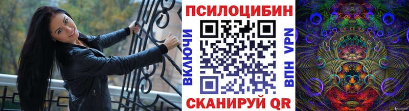 Галлюциногенные грибы Psilocybine cubensis  где продают   Вышний Волочёк 